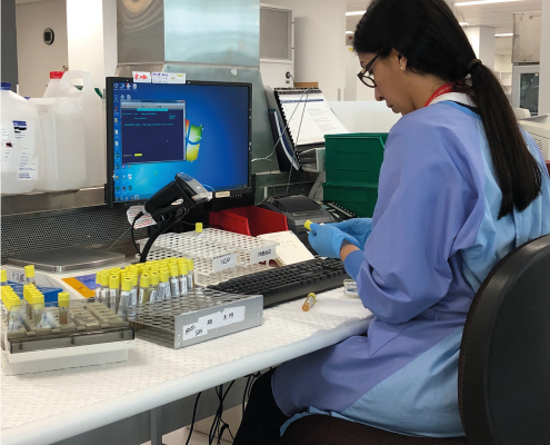 Lab Technician capturing Urine Samples into the Laboratory Information System